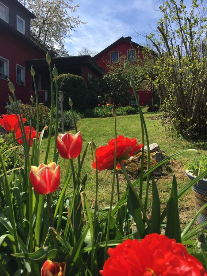 Ferienwohnung Auenthal Koditz Esterno foto